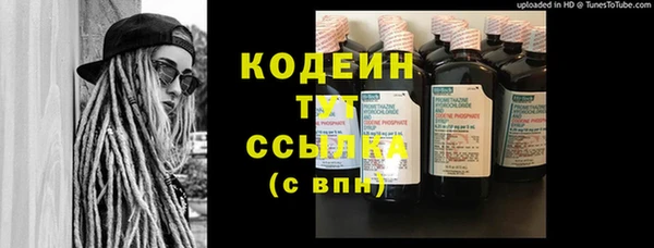 гашик Сатка