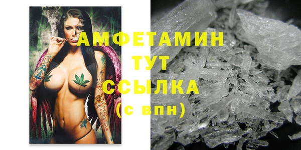 гашик Сатка