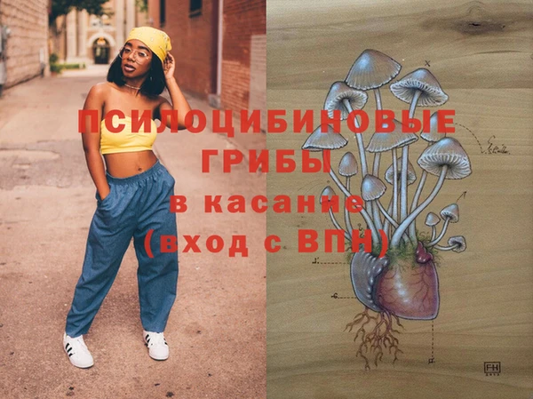 экстази Заполярный