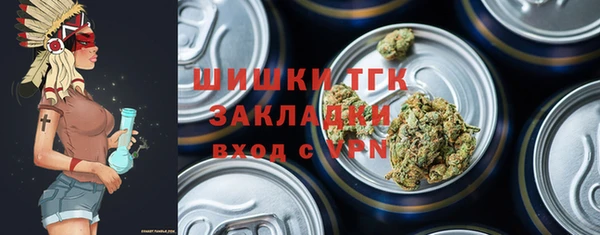 гашик Сатка